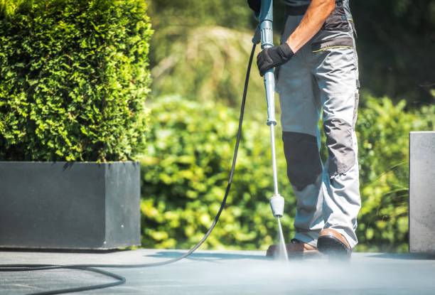 Best Post-Construction Pressure Washing  in North Branch, MN
